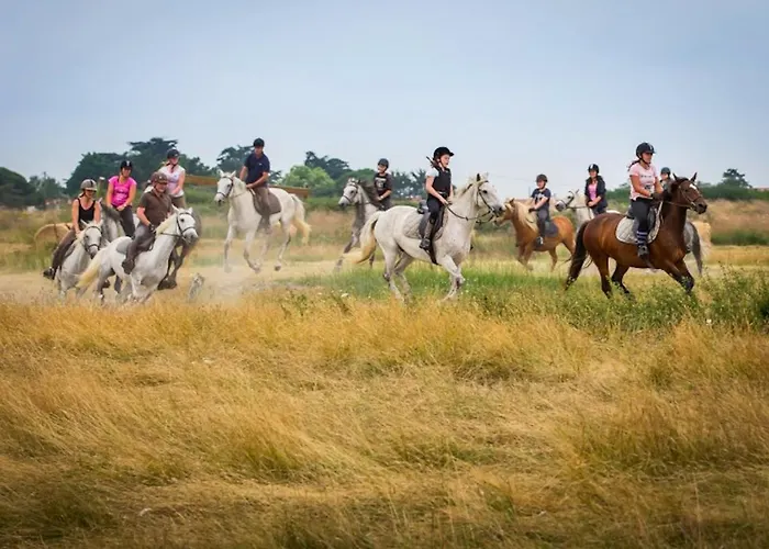 Maison Familiale La Baie 10 Ps En Cote De Jade Ferienhaus