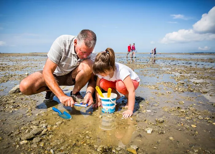 Feriehus Maison Familiale La Baie 10 Ps En Cote De Jade *